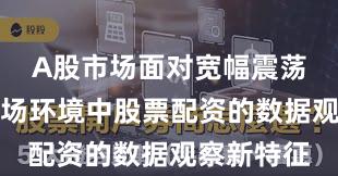 A股市场面对宽幅震荡周期的市场环境中股票配资的数据观察新特征