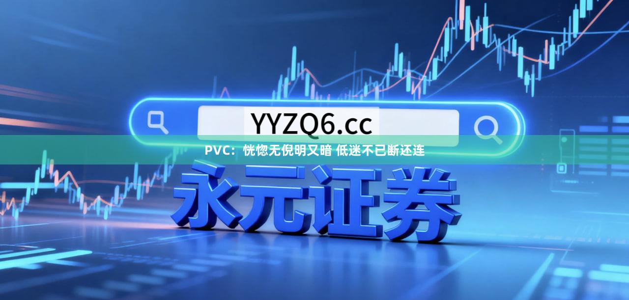 PVC：恍惚无倪明又暗 低迷不已断还连